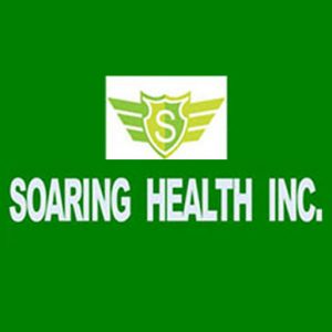 Soaring Health Logo In Green